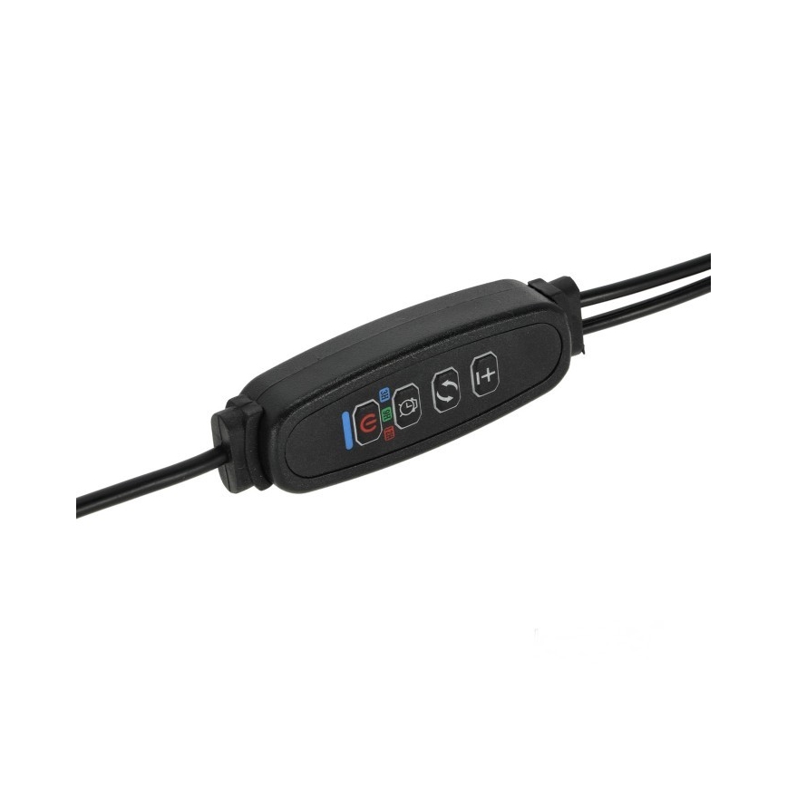 Lampe de bureau flexible à LED dimmable avec clip pour culture de plantes VITARO 2xLED/4W/230V noir