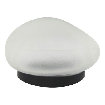 Lampe solaire à LED 2xLED/1,2V 300 mAh IP44 noire/blanche