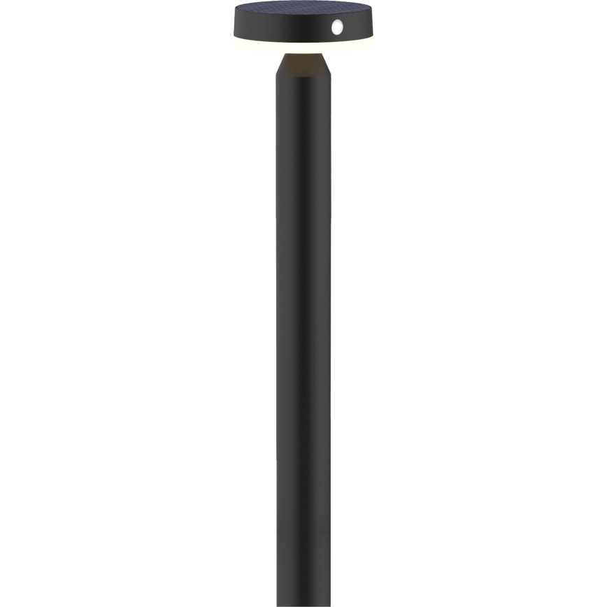 Lampe solaire avec détecteur GWINEA LED/4,5W/3,7V 2000 mAh 50 cm IP44 noir