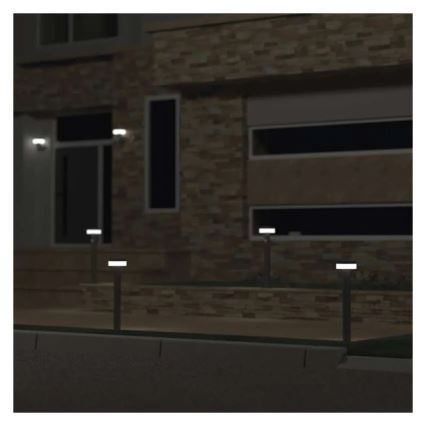 Lampe solaire avec détecteur LED/2W/3,7V 1200 mAh IP44 50 cm