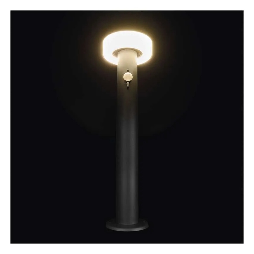 Lampe solaire avec détecteur LED/2W/3,7V 1200 mAh IP44 50 cm