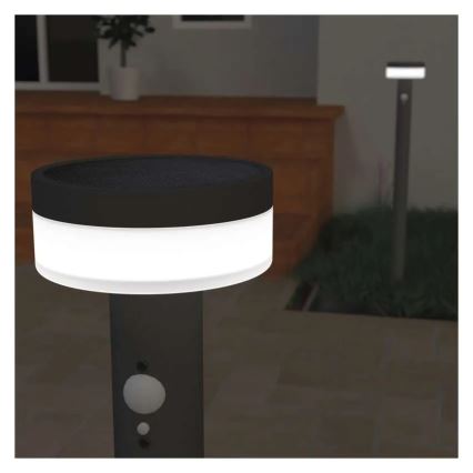Lampe solaire avec détecteur LED/2W/3,7V 1200 mAh IP44 80 cm