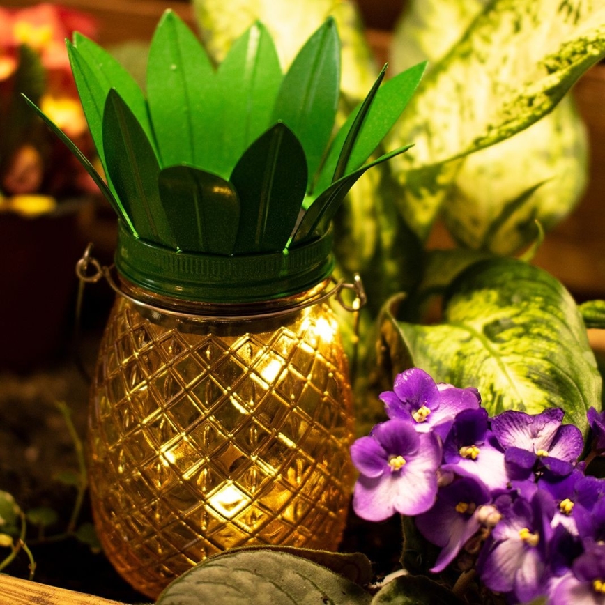 Lampe solaire JAR LED/1,2V IP44 ananas