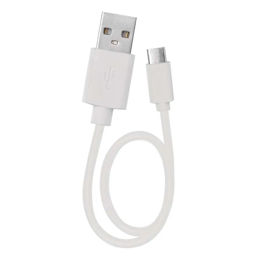 Lampe torche rechargeable LED LED/USB/3,7V 80 lm 800mAh