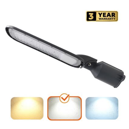 Lampione stradale LED BRELUXO LED/100W/230V 4000K IP65