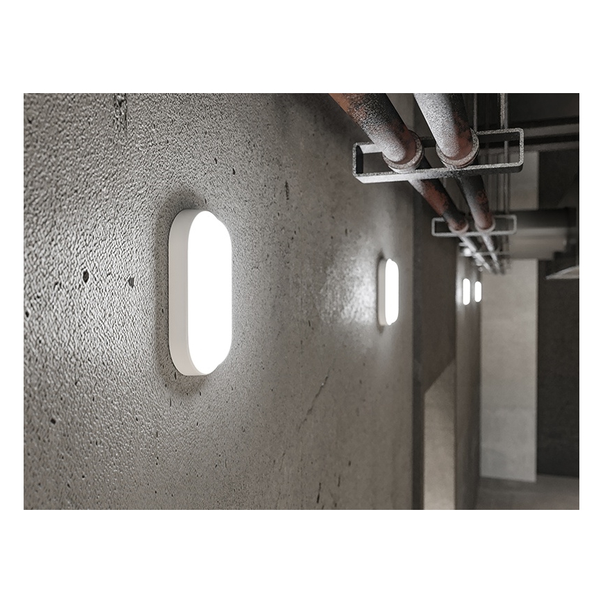 LED Applique murale d'extérieur LED/12W/230V IP54 blanche