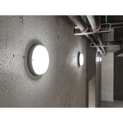 LED Applique murale extérieure LED/9W/230V IP54 noire