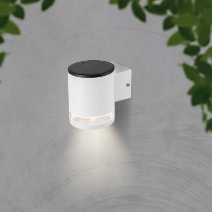 LED Applique solare da esterno LED/1W/3,7V 3000K IP54 bianco