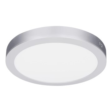 LED Aufbau-/Einbaupanel 2-in-1 18W/230V 3000/4000/6000K Ø 22,5 cm IP54 silber