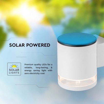 LED Außen-Solar-Wandleuchte LED/1W/3,7V 3000K IP54 1200 mAh Weiß