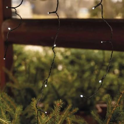 LED Außen-Weihnachtslichterkette 100xLED/2,5x0,9m IP44 kaltweiß