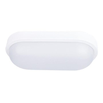 LED-Außendeckenleuchte LED/20W/230V IP54