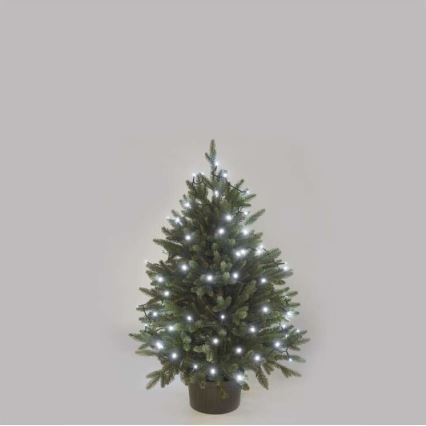 LED-Außenlichterkette 40 LEDs/9 m IP44 kaltweiß