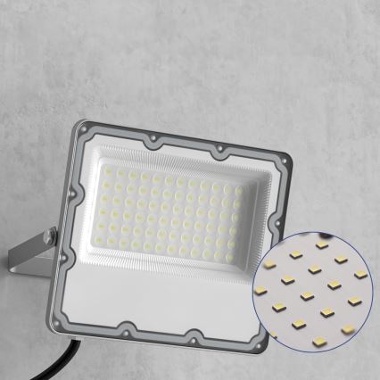 LED-Außenstrahler LED/100W/230V 4500K IP65 grau