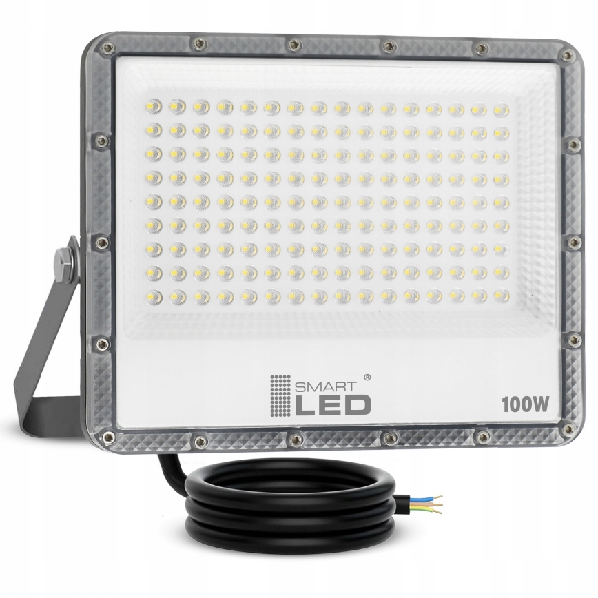 LED-Außenstrahler LED/100W/230V 4500K IP65 grau