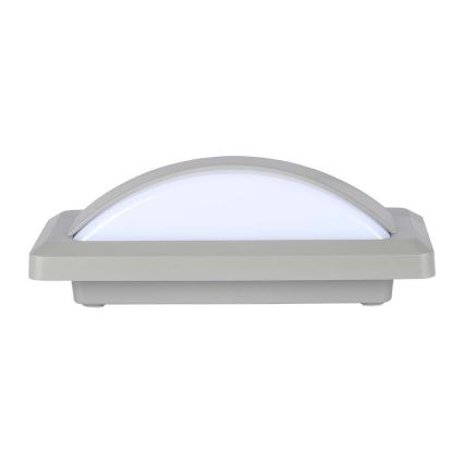 LED Außenwandleuchte LED/12W/230V 4000K IP65