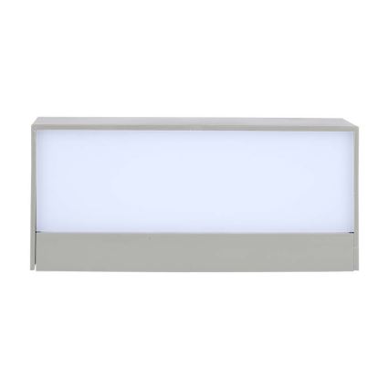 LED Außenwandleuchte LED/12W/230V 6400K IP65