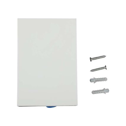 LED Außenwandleuchte LED/4W/230V 6400K IP65 Weiß