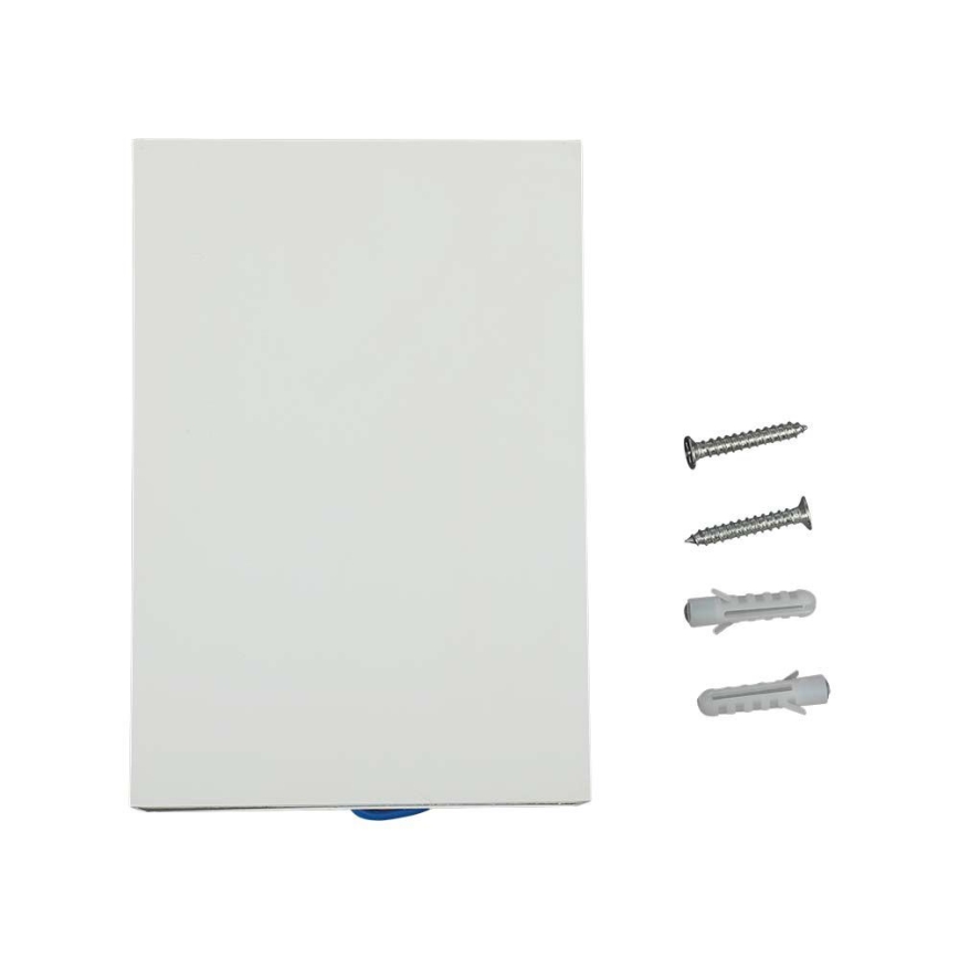 LED Außenwandleuchte LED/4W/230V 6400K IP65 Weiß