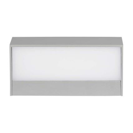 LED Außenwandleuchte LED/9W/230V 6400K IP65