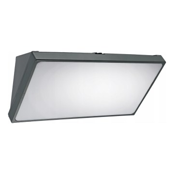 LED Außenwandleuchte mit Bewegungsmelder LED/20W/230V IP65 grau