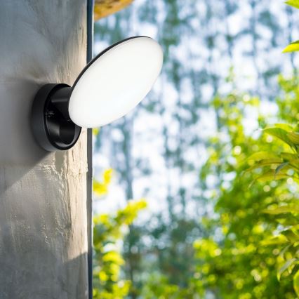 LED-Außenwandleuchte OLAF LED/10W/230V IP44 schwarz