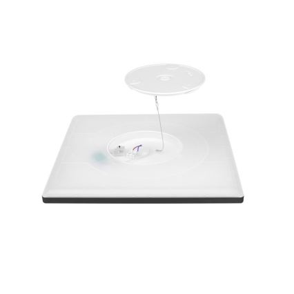 LED-Badezimmerleuchte mit Bewegungs- und Dämmerungssensor NIVERA LED/12W/230V IP54 3000/4000/6000K 22,5x22,5 cm schwarz + Fernbedienung