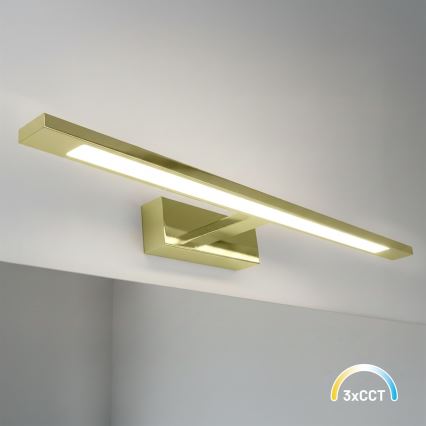 LED-Spiegelleuchte KLIMT, 12 W, 230 V, 3000/4000/6000 K, 60 cm, IP44, goldfarben