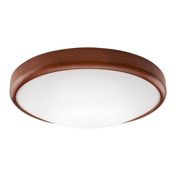 LED Deckenleuchte 1xLED/24W/230V