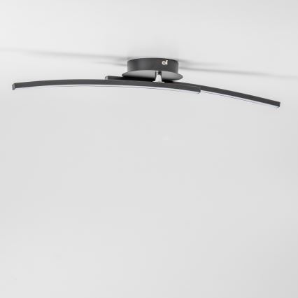 LED-Deckenleuchte 2xLED/6W/230V schwarz