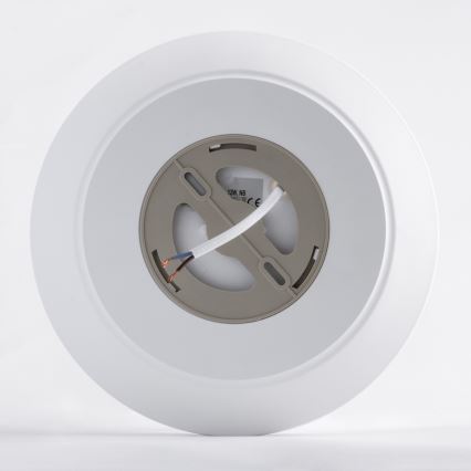 LED-Deckenleuchte AVESTA LED/12W/230V 4000K IP54