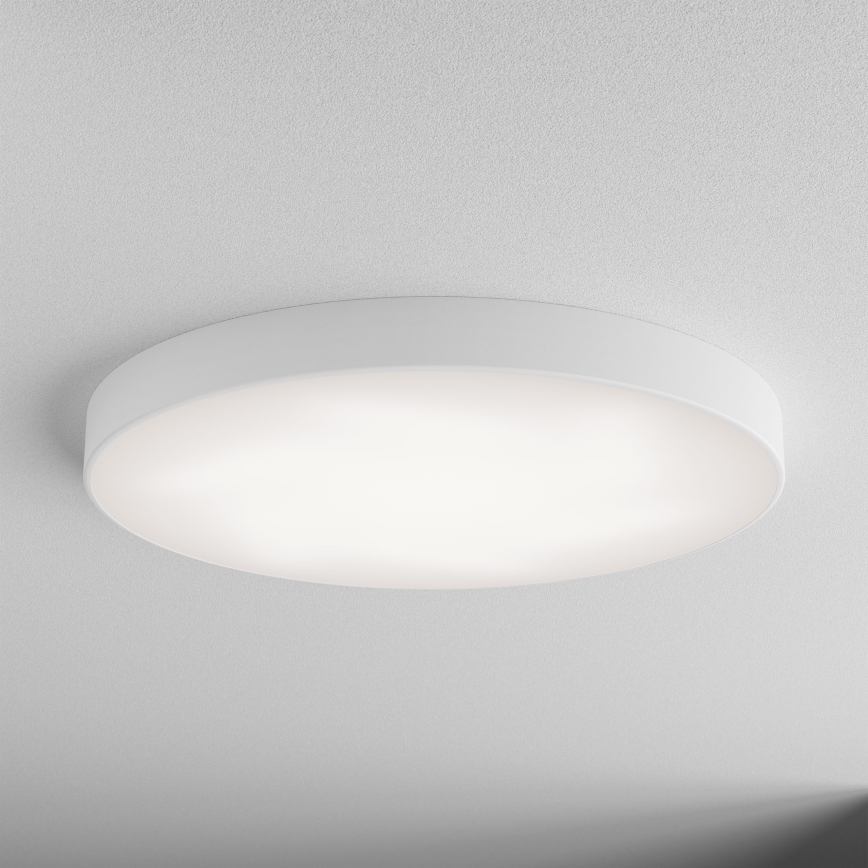 LED-Deckenleuchte CLEO LED/96W/230V 4000K Ø 80 cm Weiß