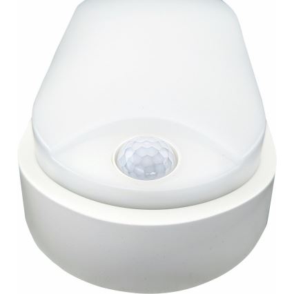 LED-Deckenleuchte für Außenbereiche mit Sensor LED/14W/230V IP54 weiß