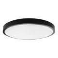 LED-Deckenleuchte für Badezimmer LED/24W/230V 6500K IP44 d 29,5 cm schwarz