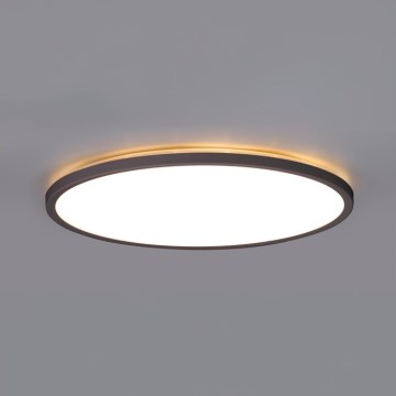 LED-Deckenleuchte für Badezimmer NIVERA LED/12W/230V IP54 3000/4000/6000K d 22,5 cm schwarz