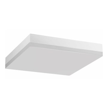 LED-Deckenleuchte für das Badezimmer LED/24W/230V 4000K 28 cm IP44