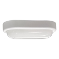 LED-Deckenleuchte für den Außenbereich LED/15W/230V 4200K 20x9,8 cm IP64 weiß