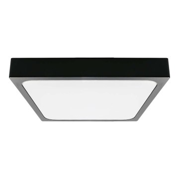 LED-Deckenleuchte fürs Badezimmer LED/30W/230V 4000K IP44 schwarz