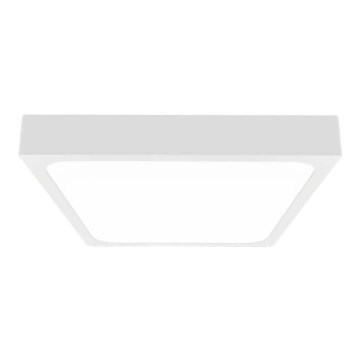 LED-Deckenleuchte fürs Badezimmer LED/30W/230V 4000K IP44 weiß