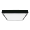 LED-Deckenleuchte fürs Badezimmer LED/30W/230V 6500K IP44 schwarz