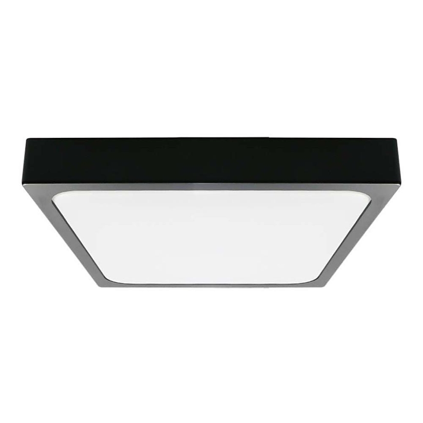 LED-Deckenleuchte fürs Badezimmer LED/30W/230V 6500K IP44 schwarz