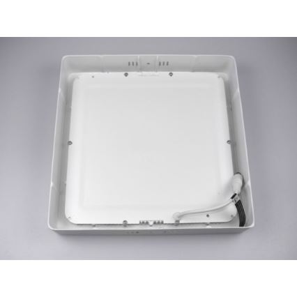 LED-Deckenleuchte GERRY LED/18W/230V 4000K weiß