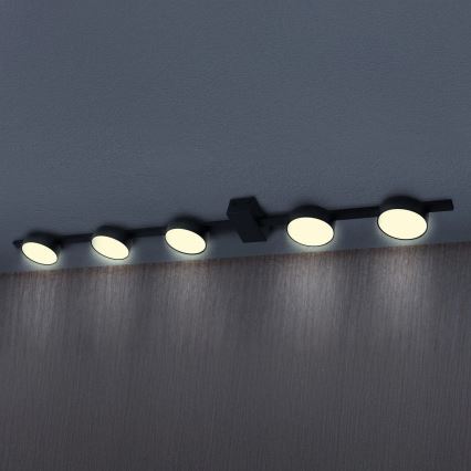 LED-Deckenleuchte JOY 5xGX53/6W/230V schwarz