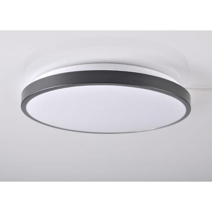 LED Deckenleuchte KERN LED/24W/230V schwarz