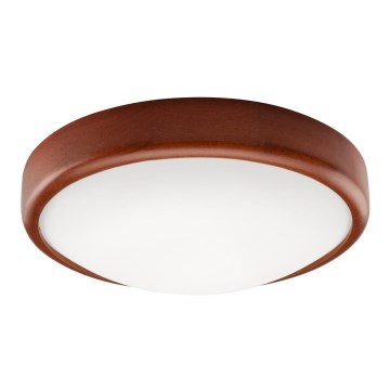 LED Deckenleuchte LED/12W/230V Kiefer