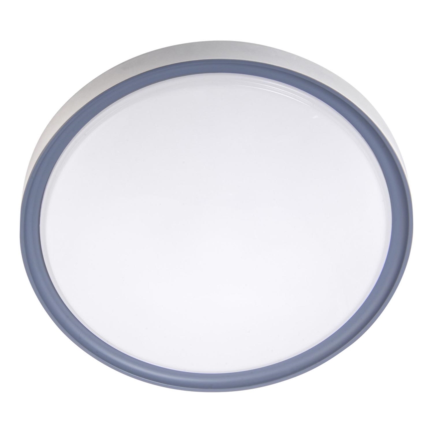 LED-Deckenleuchte LED/18W/230V d 30 cm weiß/grau