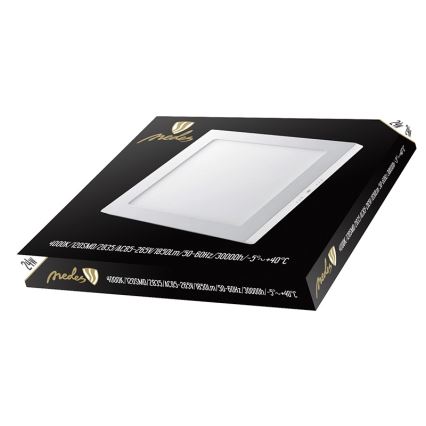 Nedes LPL425 - LED Einbauleuchte LED/24W/230V 4000K