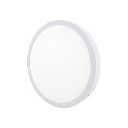 LED Deckenleuchte LED/24W/230V 4200K