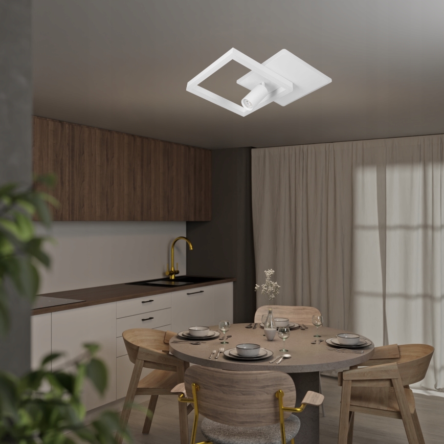 LED Deckenleuchte LED/38W/230V + 1xGU10/30W weiß