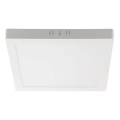 LED-Deckenleuchte LED/6W/230V 4000K 12x12 cm weiß